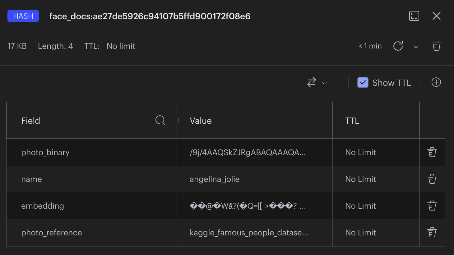 RedisVL_HASH_EXAMPLE